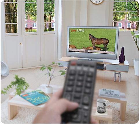 単焦点レンズの見え方