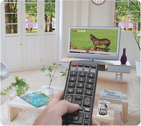 多焦点レンズの見え方